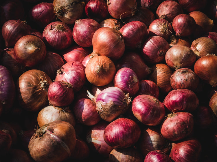 Fresh Onion Bulbs