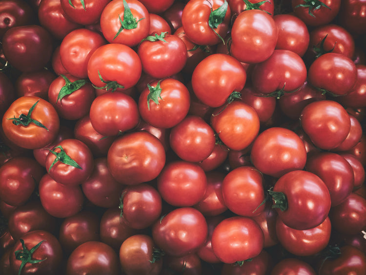 Fresh red tomatoes